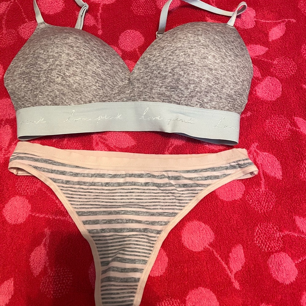 Pink Bra and panties NWT